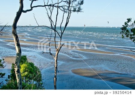 Sandgate beach in the summer. In Australia. Sandgate beach in the summer. In Australia. 39250414