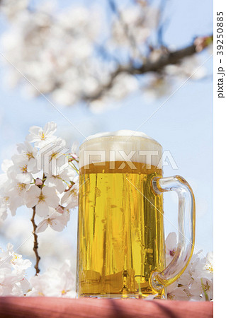 お花見とジョッキビール お花見とジョッキビール 39250885