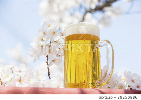 お花見とジョッキビールの写真素材