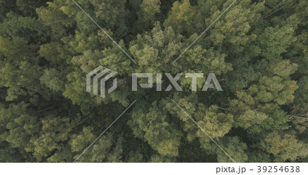 Aerial top view over summer forest on a cloudy day 39254638