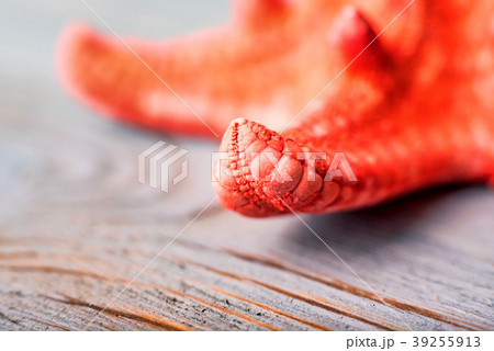 Dried red sea starfish on wooden background 39255913