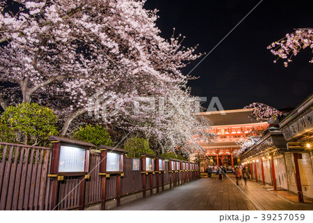 浅草寺　桜 39257059