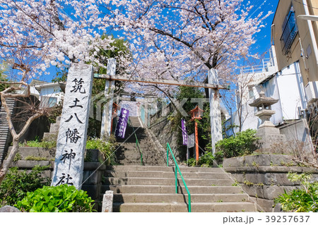 筑土八幡神社 春 筑土八幡神社 春 39257637