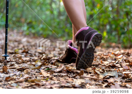 Close-up of female hiker feet and shoe walking  39259098