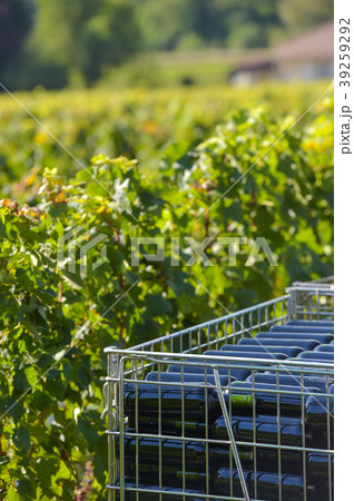 The bottling of wine in wineyard-Storage of wine 39259292