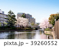 Sakura2017019 39260552