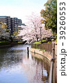 Sakura2017020 39260553
