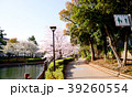 Sakura2017021 39260554