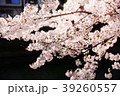 Sakura2017023 39260557