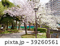 Sakura2017027 39260561