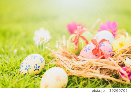 Closeup Colorful Easter eggs in nest Closeup Colorful Easter eggs in nest 39260705