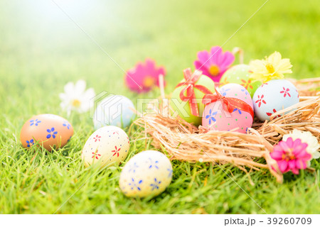 Closeup Colorful Easter eggs in nest Closeup Colorful Easter eggs in nest 39260709