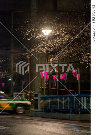 夜桜　夜景　桜　サクラナイト　チェリー　夜　ナイト　フラワー　花　目黒川　名所　観光　注目 39261643