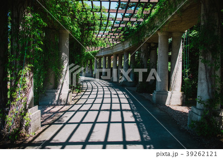 Inside the Pergola park in Wroclaw, Poland Inside the Pergola park in Wroclaw, Poland 39262121