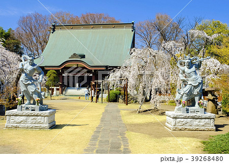 慈眼寺と仁王像 慈眼寺と仁王像 39268480