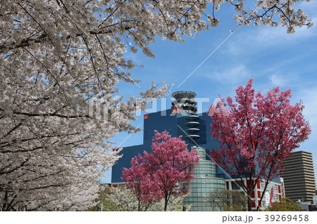 関西テレビと扇町公園 関西テレビと扇町公園 39269458