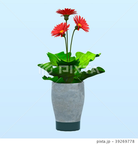 ガーベラ 39269778