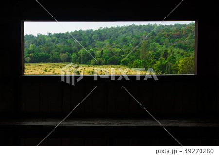 landscape of  Meadow with tree ,in Thailand 39270280