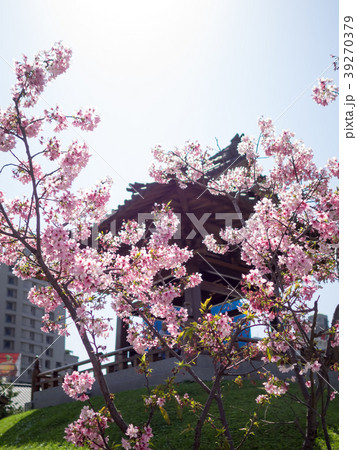 台湾 台北 台北市 39270379