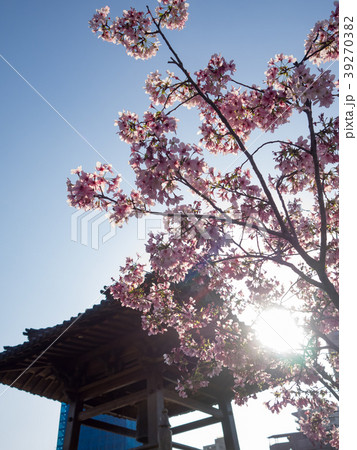 台湾 台北 台北市 39270382