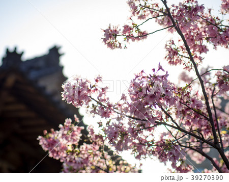 台湾 台北 台北市 39270390