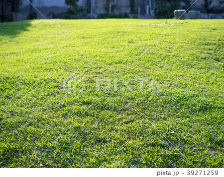 背景 バックグラウンド バックグランド 39271259