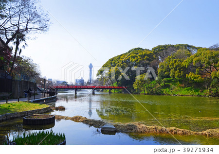 大阪　茶臼山周辺の風景 39271934