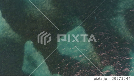 Sea with yachts on top Sea with yachts on top 39273344