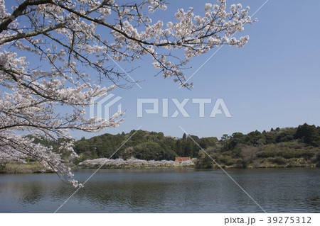 千葉県茂原市（3月） 39275312