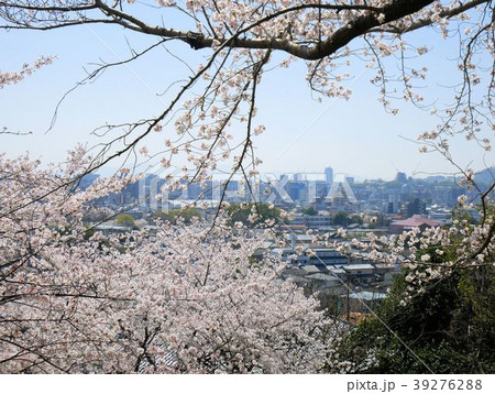 熊本市 復興の春 (立田山からの眺め) 熊本市 復興の春 (立田山からの眺め) 39276288