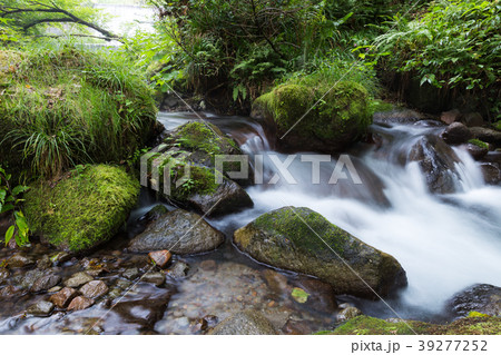 木谷沢渓流 39277252