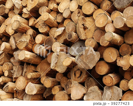 木材・丸太（林業イメージなどにもご利用可能です）の写真素材