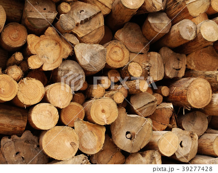 木材・丸太（林業イメージなどにもご利用可能です）の写真素材