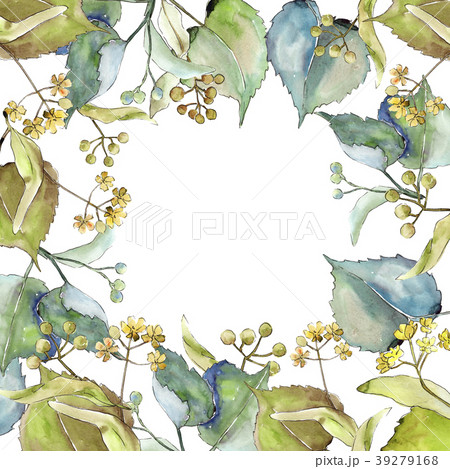 Linden Leaves Frame In A Watercolor Style のイラスト素材