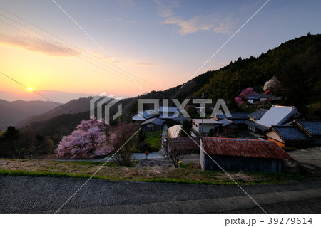 山里の春(奈良県高市郡明日香村) 山里の春(奈良県高市郡明日香村) 39279614
