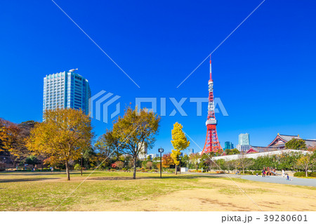 東京　秋の芝公園 39280601