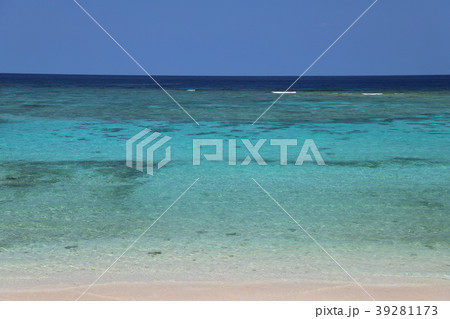 碧い海 ワンジョビーチ 碧い海 ワンジョビーチ 39281173