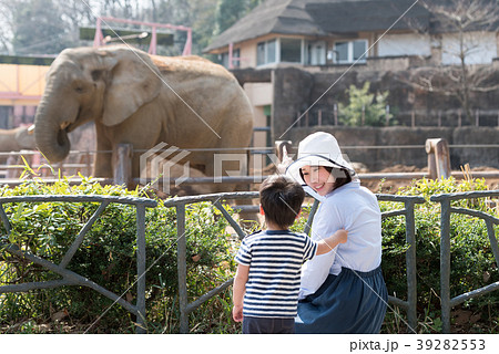 動物園で楽しむ親子 動物園で楽しむ親子 39282553