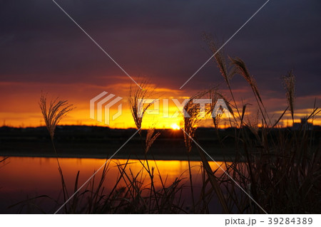 兵庫県 加古川河川敷 日の出 兵庫県 加古川河川敷 日の出 39284389