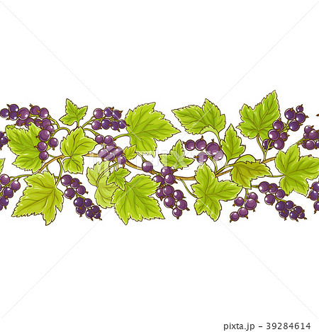 Black Currant Vector Pattern Stock Illustration Black Currant Vector Pattern Stock Illustration
