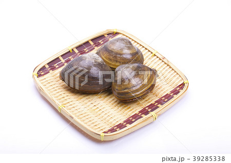 ホッキガイ 39285338