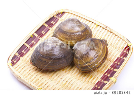 ホッキガイ 39285342