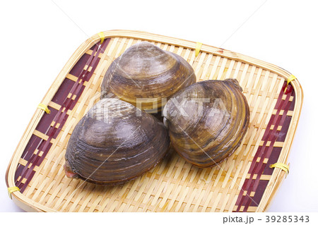 ホッキガイ ホッキガイ 39285343