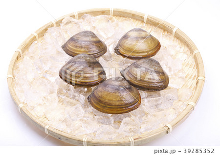 ホッキガイ 39285352