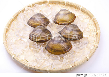 ホッキガイ 39285353