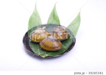 ホッキガイ ホッキガイ 39285381