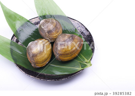 ホッキガイ ホッキガイ 39285382