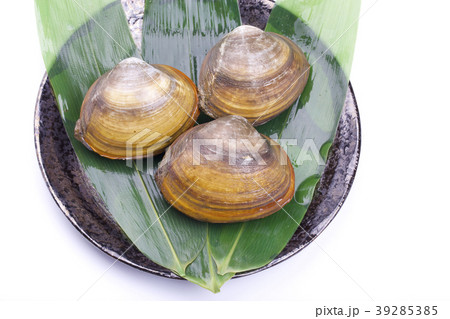 ホッキガイ ホッキガイ 39285385