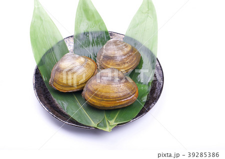 ホッキガイ 39285386