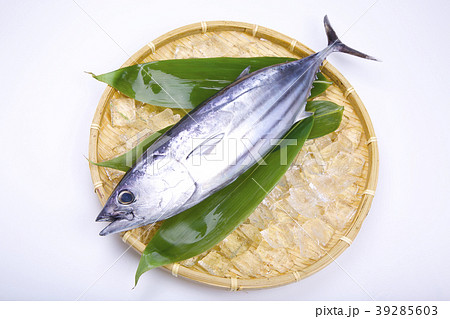 初鰹 初鰹 39285603